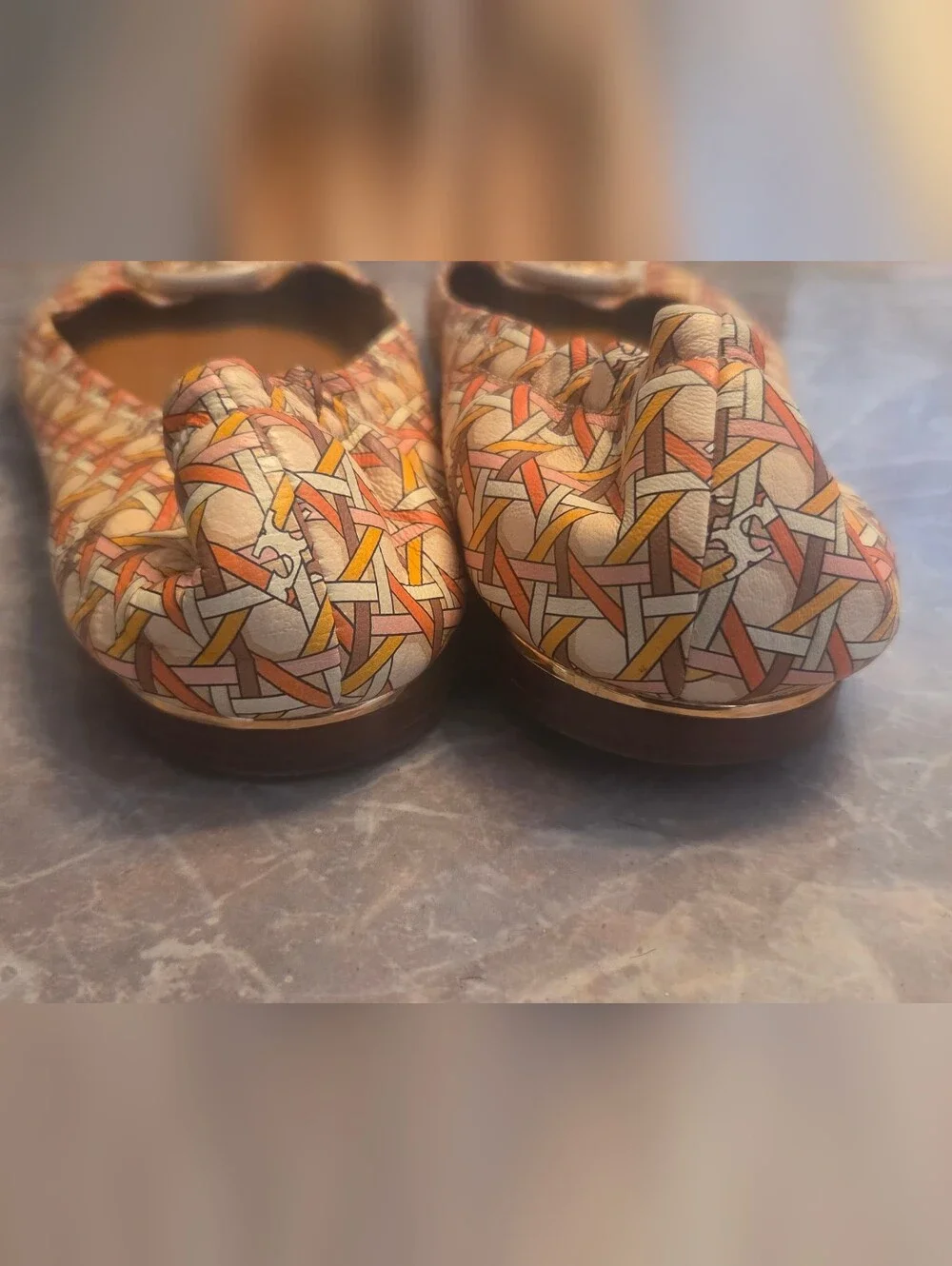 Tory Burch Printed Logo Ballet Flats in Multicolor